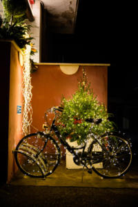 Pasticcerica-Frignani-Ferrara-regali-idee-natale-2018-0075