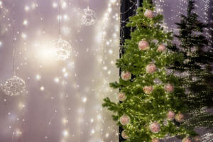 Pasticceria-Frignani-Ferrara-Idee-Regalo-Natale-2021-0070