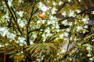 Pasticceria-Frignani-Ferrara-Idee-Regalo-Natale-2021-0078